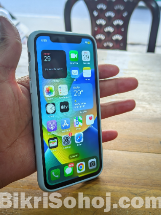 IPhone X